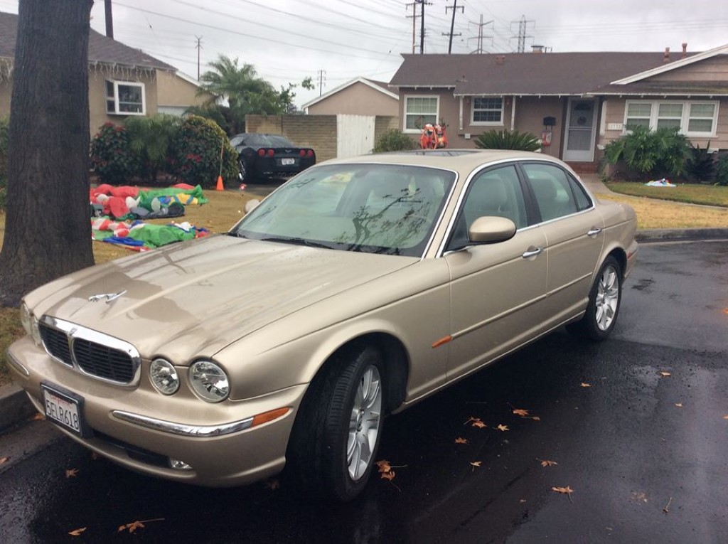 12400555 1242413945785197 4167780187510988975 n Custom
