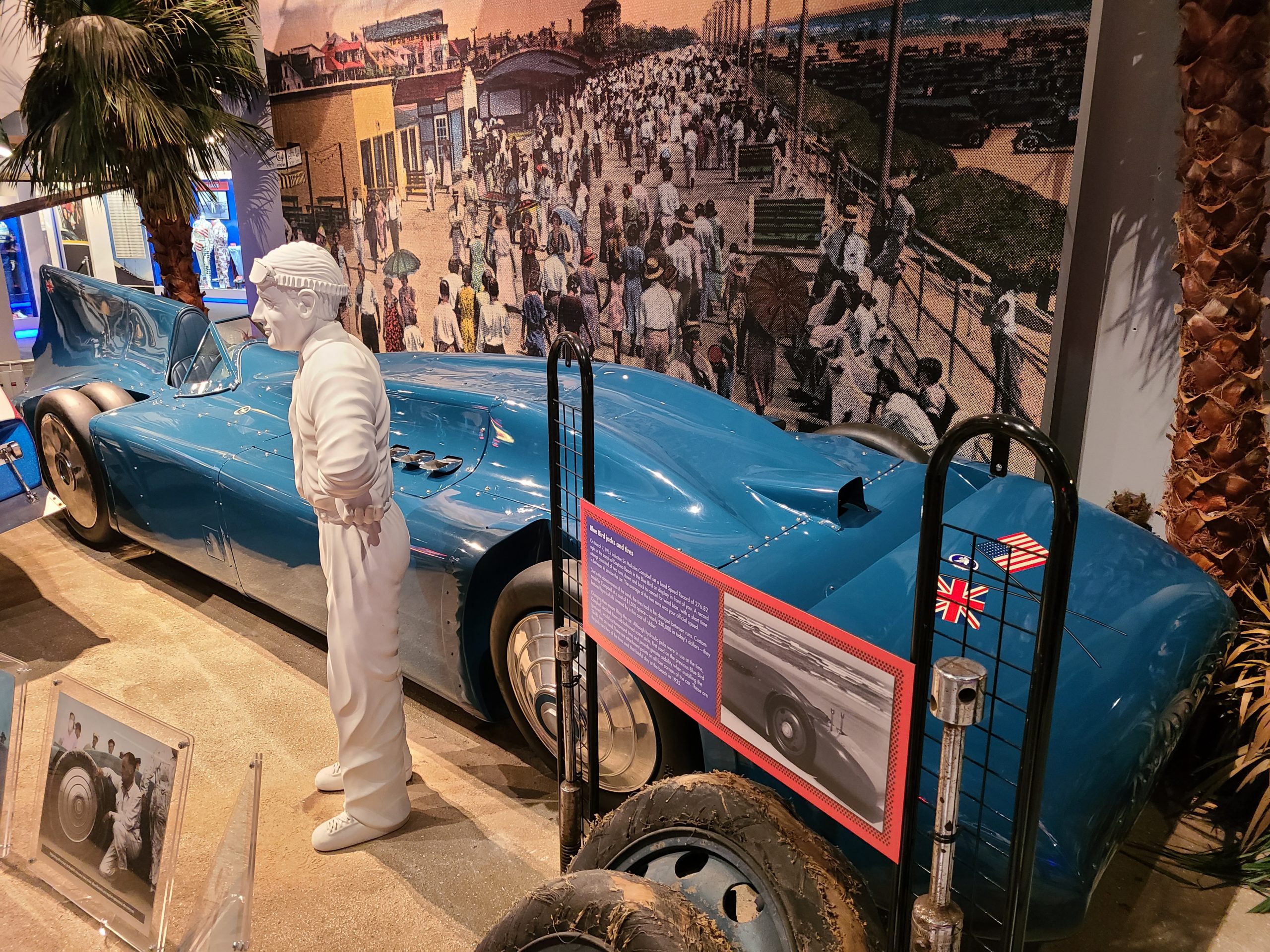 MSHF Bluebird